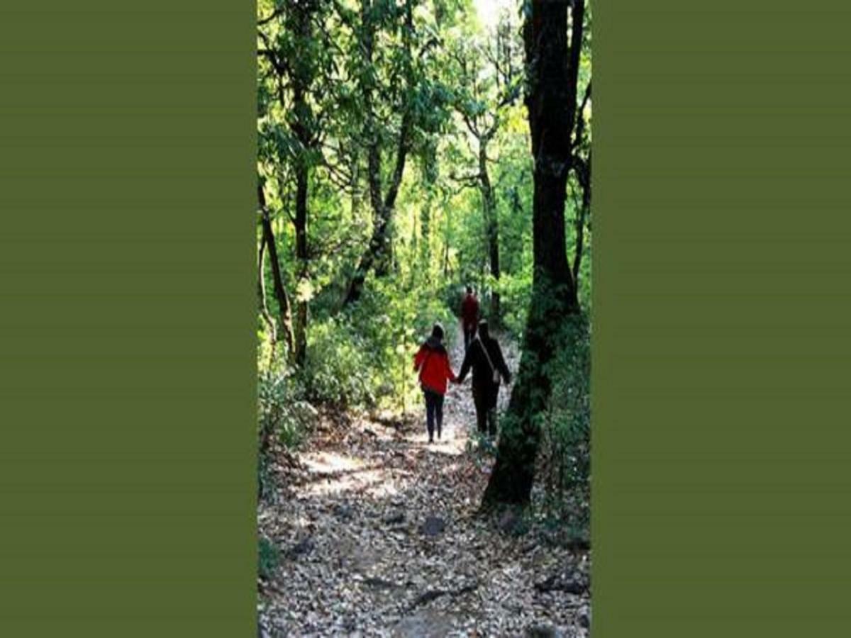 Jungle Lore Birding Lodge Nainital Exterior photo